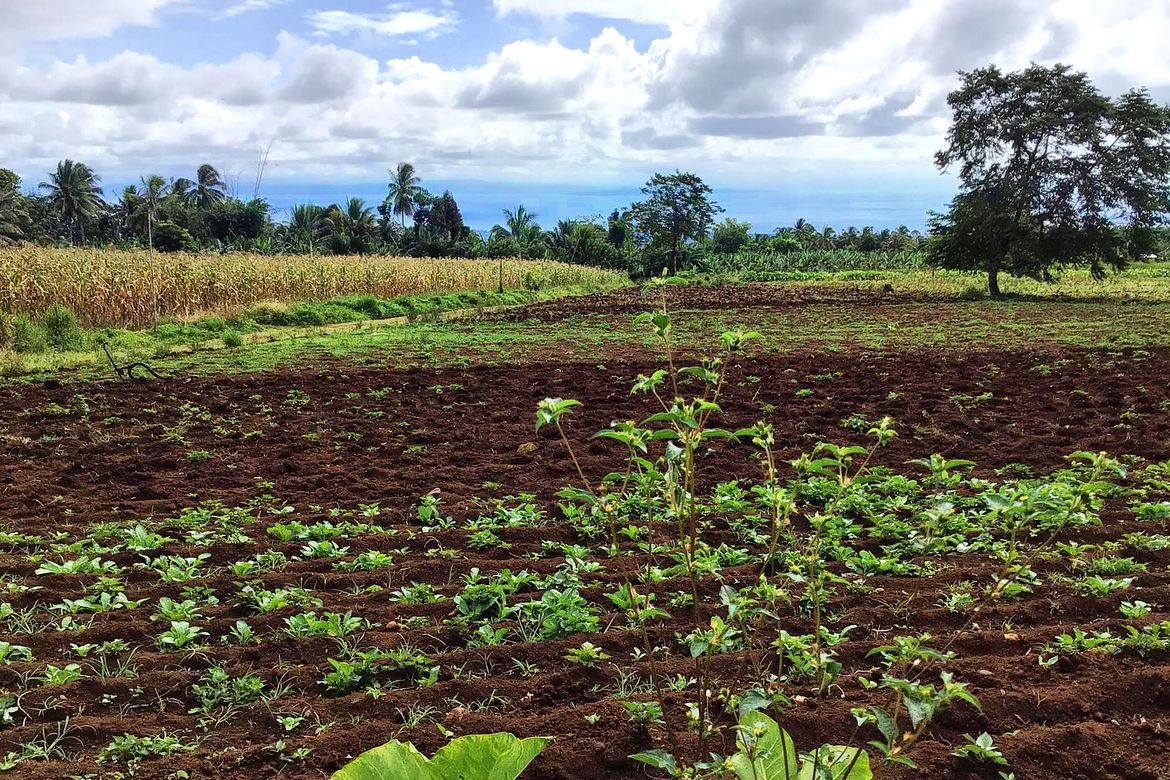 Land for Sale in Toril, Davao City, Davao del Sur – photo 2