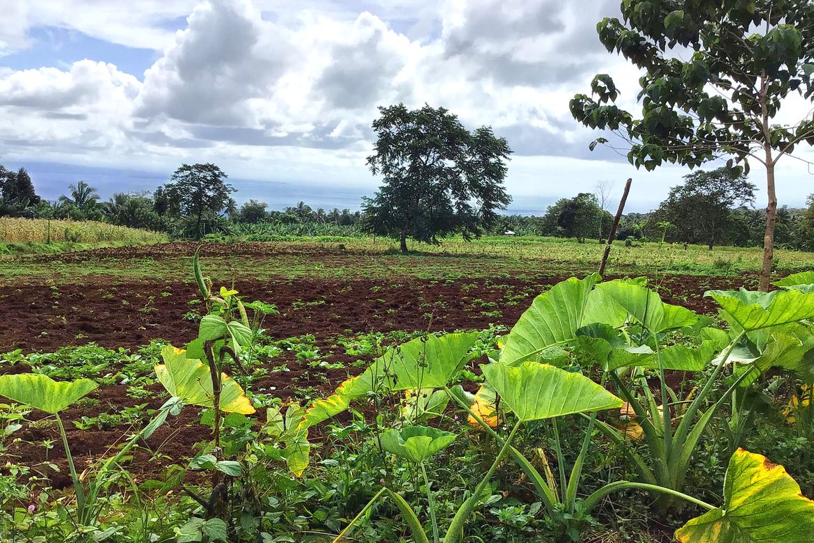 Land for Sale in Toril, Davao City, Davao del Sur – photo 4