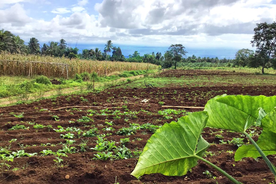 Land for Sale in Toril, Davao City, Davao del Sur – photo 7