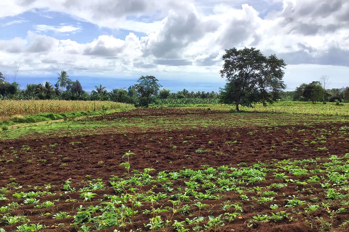 Land for Sale in Toril, Davao City, Davao del Sur – photo 8