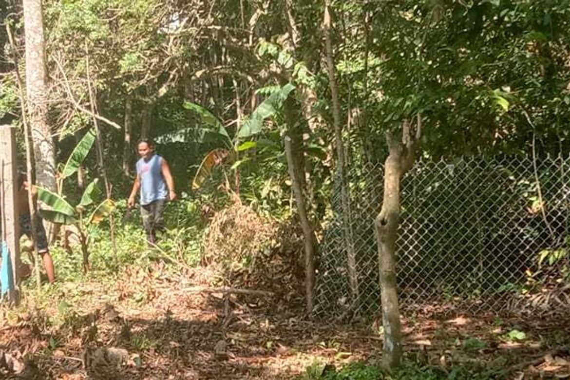Land for Sale in Toril, Samal, Davao del Norte