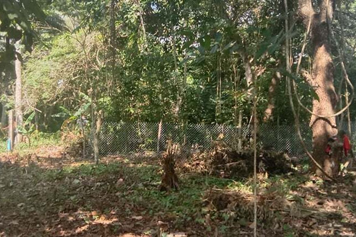 Land for Sale in Toril, Samal, Davao del Norte – photo 4