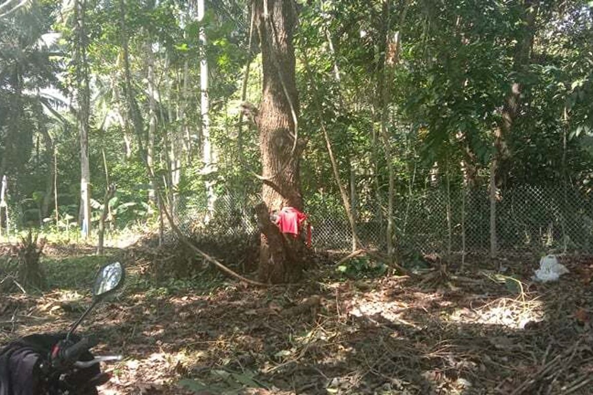 Land for Sale in Toril, Samal, Davao del Norte – photo 6