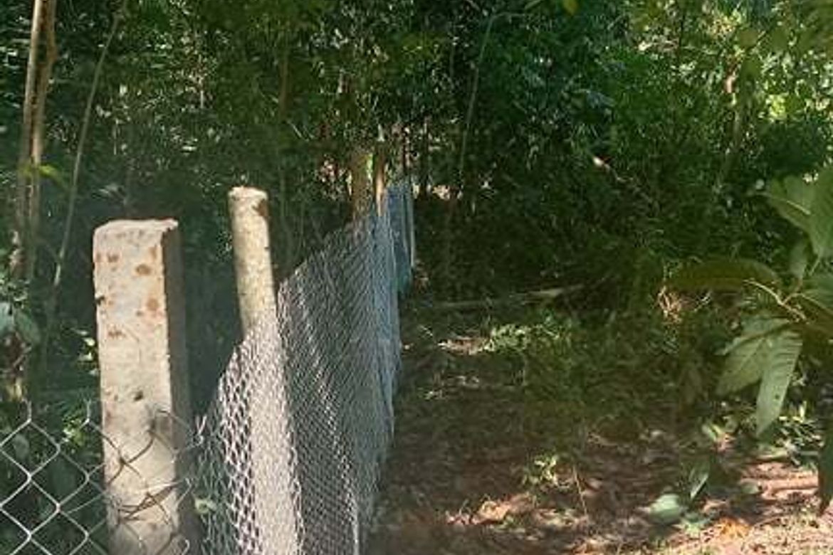 Land for Sale in Toril, Samal, Davao del Norte – photo 7