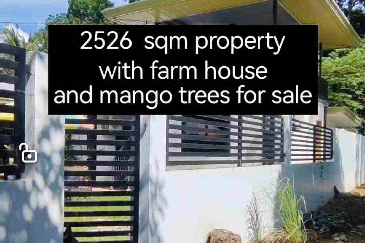 Land for Sale in Toril, Samal, Davao del Norte