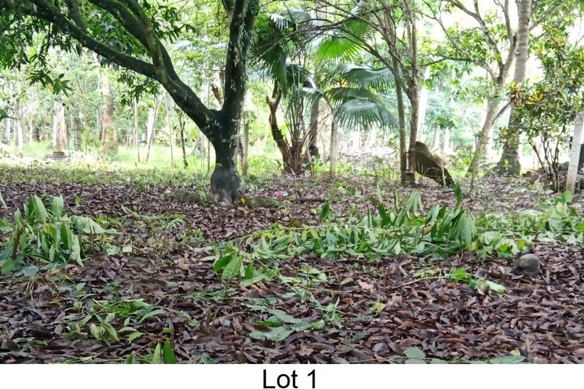 Land for Sale in Toril, Samal, Davao del Norte