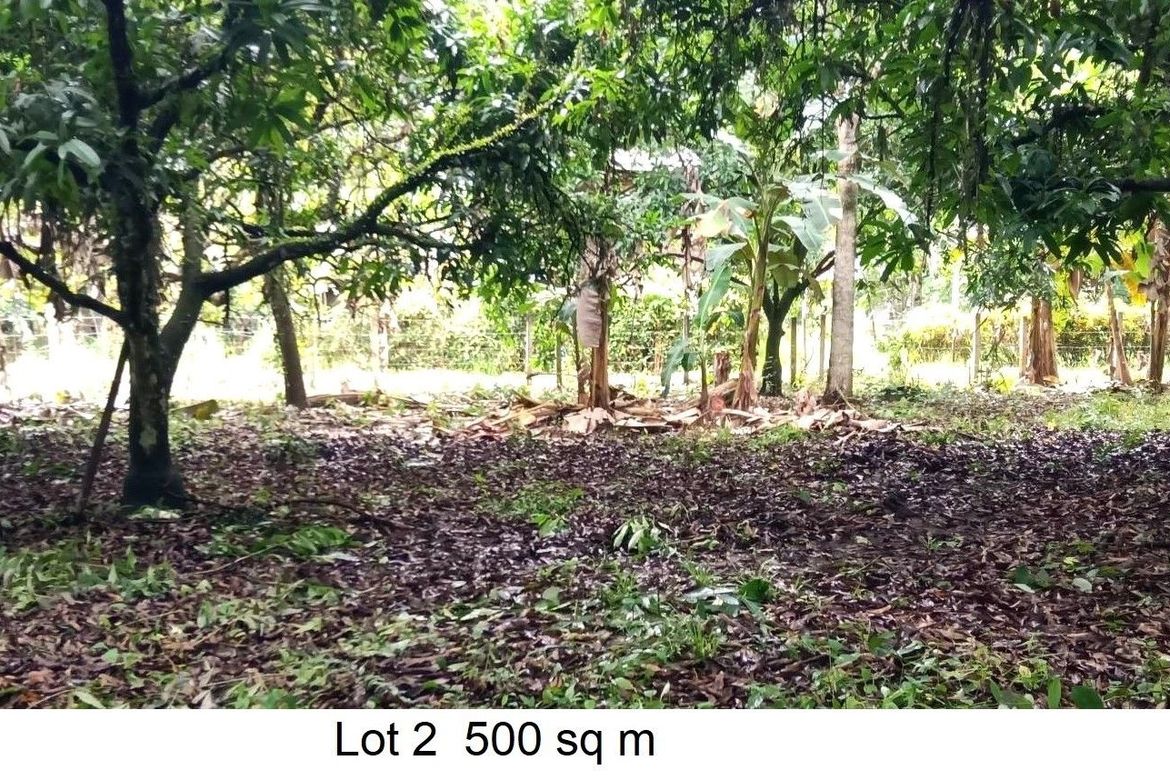Land for Sale in Toril, Samal, Davao del Norte – photo 2