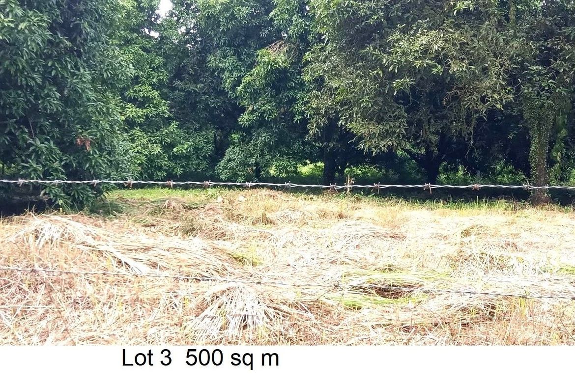 Land for Sale in Toril, Samal, Davao del Norte – photo 3
