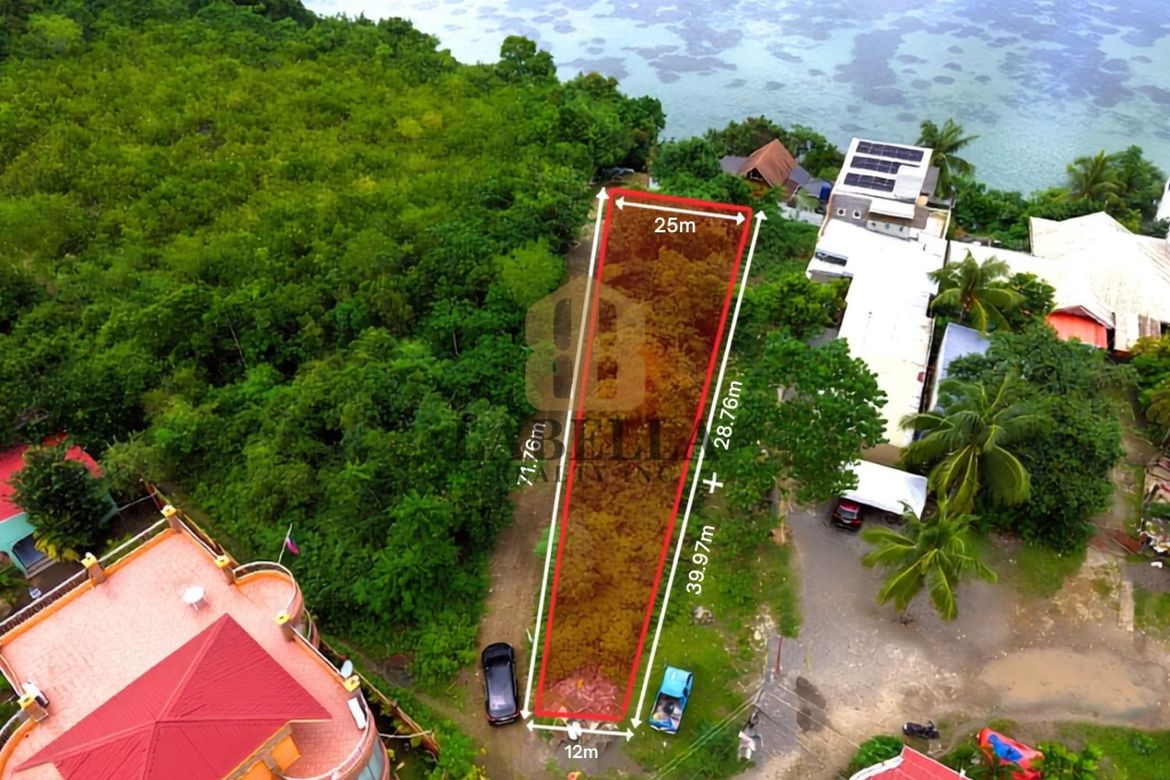 Land for Sale in Totolan, Dauis, Bohol