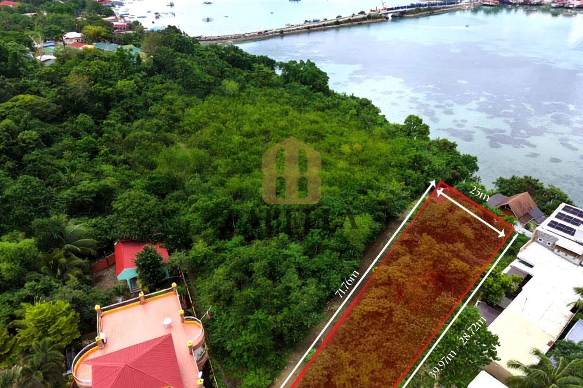 Land for Sale in Totolan, Dauis, Bohol – photo 3