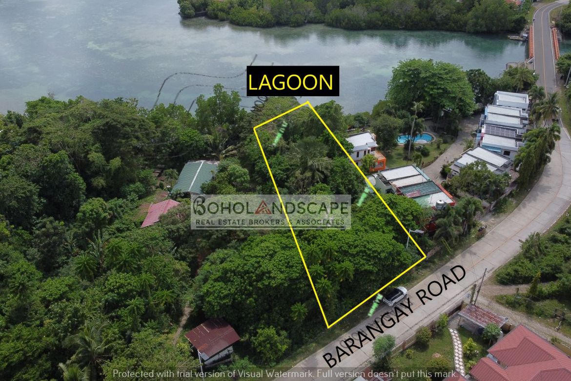 Land for Sale in Totolan, Dauis, Bohol – photo 3