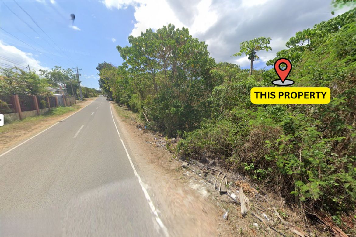 Land for Sale in Totolan, Dauis, Bohol – photo 6