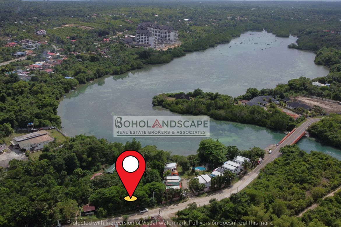 Land for Sale in Totolan, Dauis, Bohol – photo 8