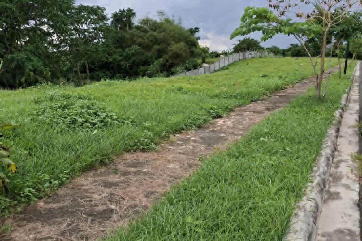 Land for Sale in Tranca, Talisay, Batangas – photo 3