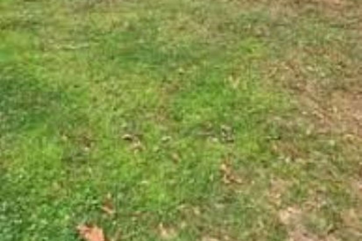 Land for Sale in Tranca, Talisay, Batangas – photo 4