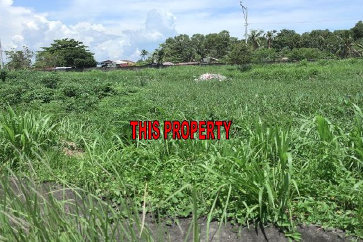 Land for Sale in Tres de Mayo, Digos, Davao del Sur