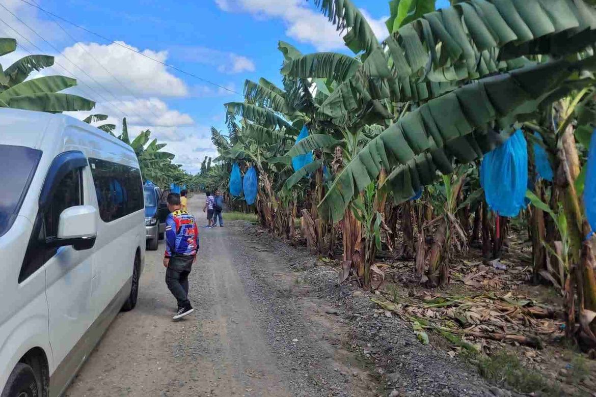 Land for Sale in Tres de Mayo, Digos, Davao del Sur – photo 2