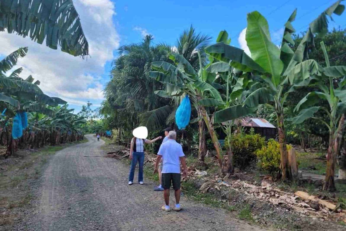 Land for Sale in Tres de Mayo, Digos, Davao del Sur – photo 4