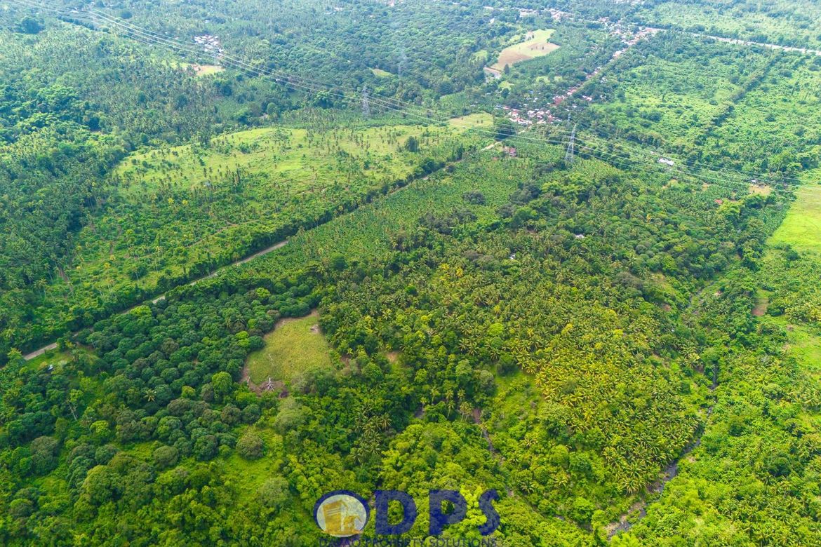 Land for Sale in Tuban, Santa Cruz, Davao del Sur – photo 3