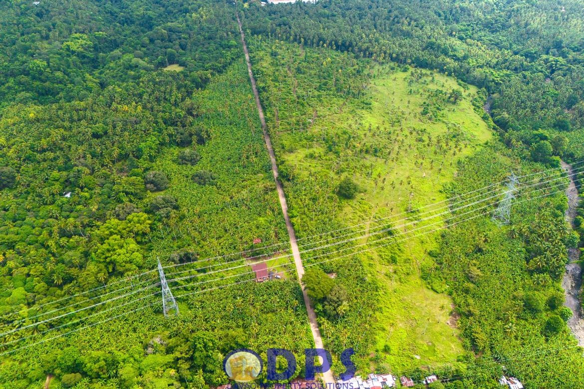 Land for Sale in Tuban, Santa Cruz, Davao del Sur – photo 5
