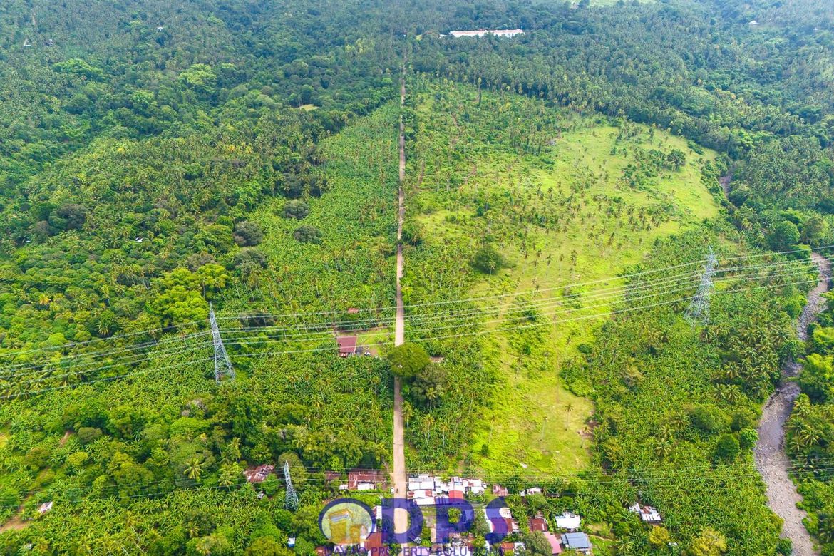 Land for Sale in Tuban, Santa Cruz, Davao del Sur – photo 6