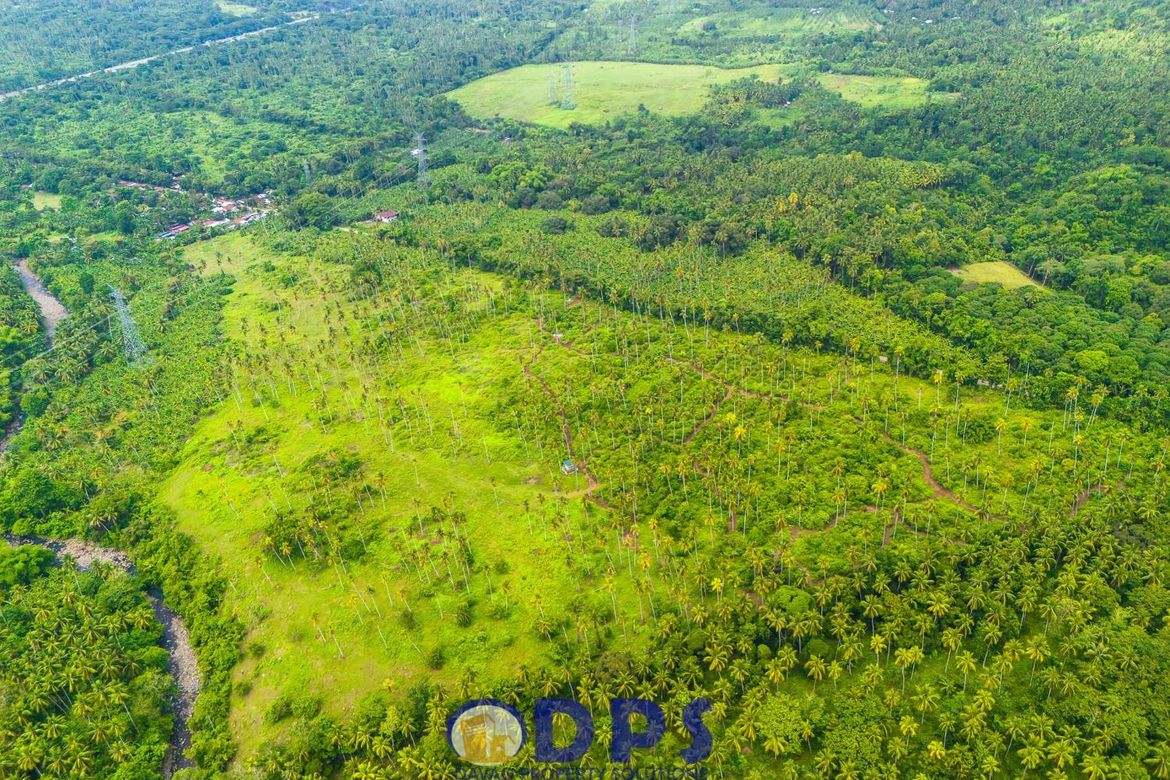 Land for Sale in Tuban, Santa Cruz, Davao del Sur – photo 7