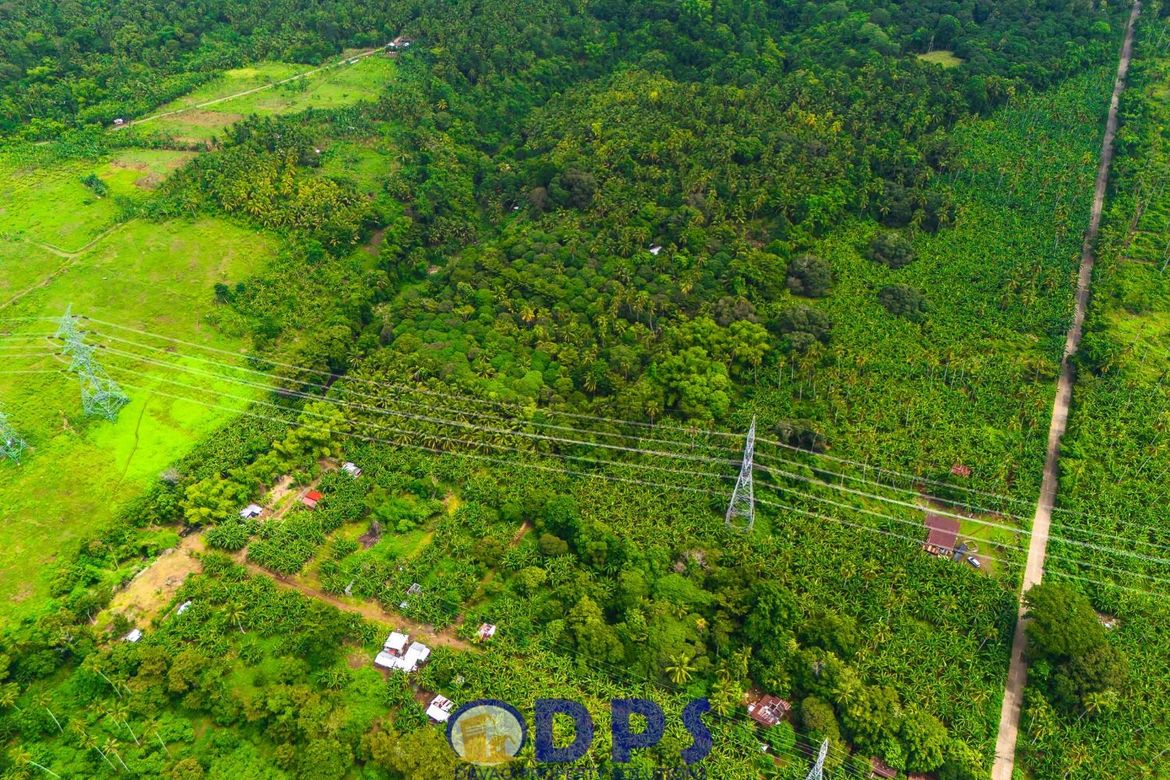 Land for Sale in Tuban, Santa Cruz, Davao del Sur – photo 8
