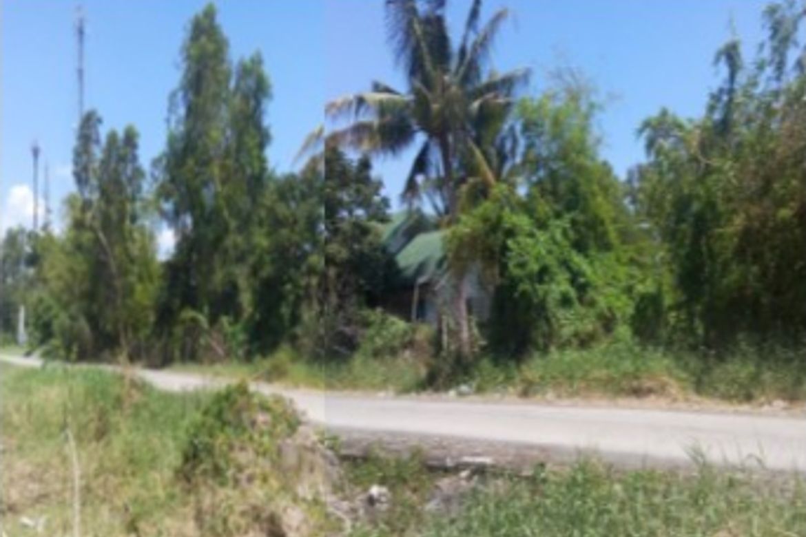 Land for Sale in Tubigan, Biñan, Laguna – photo 3