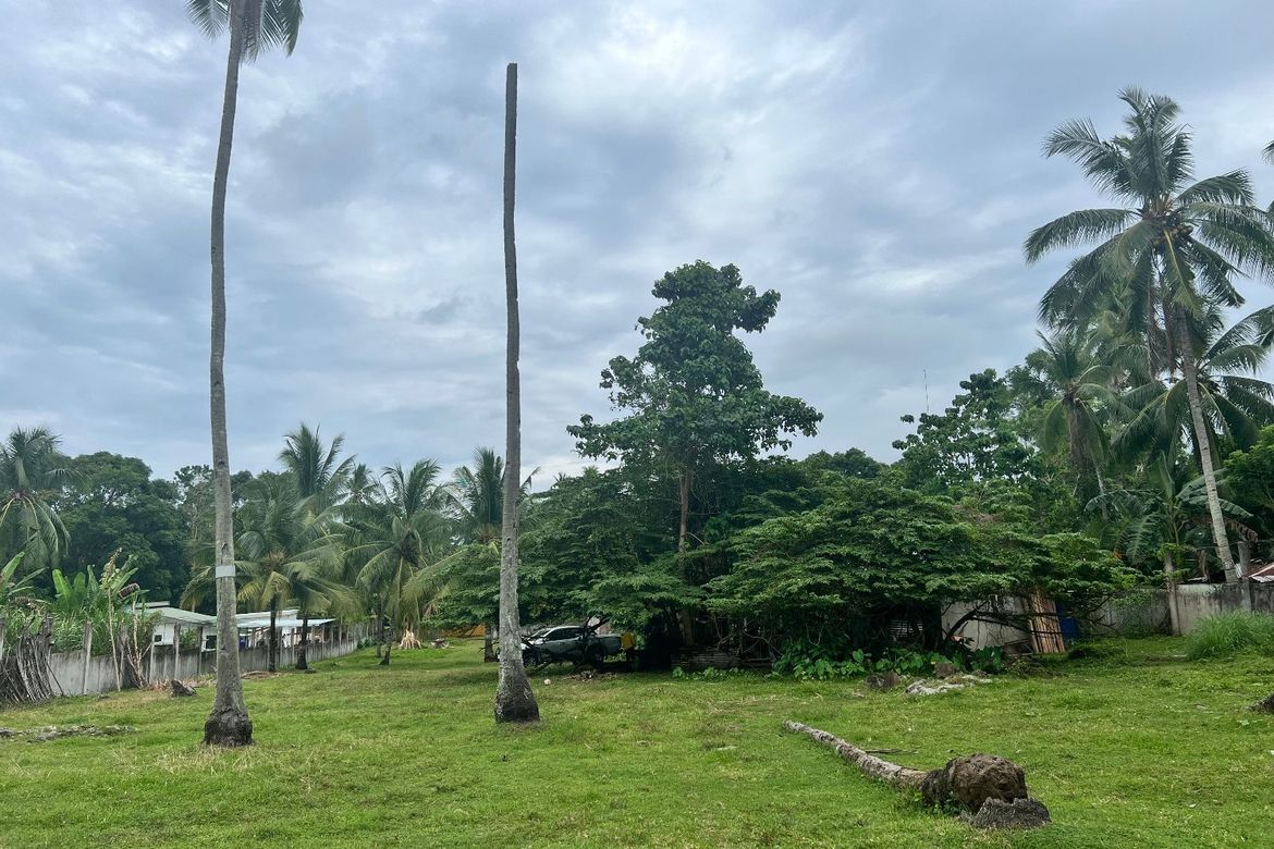 Land for Sale in Tubod, Bacong, Negros Oriental – photo 4