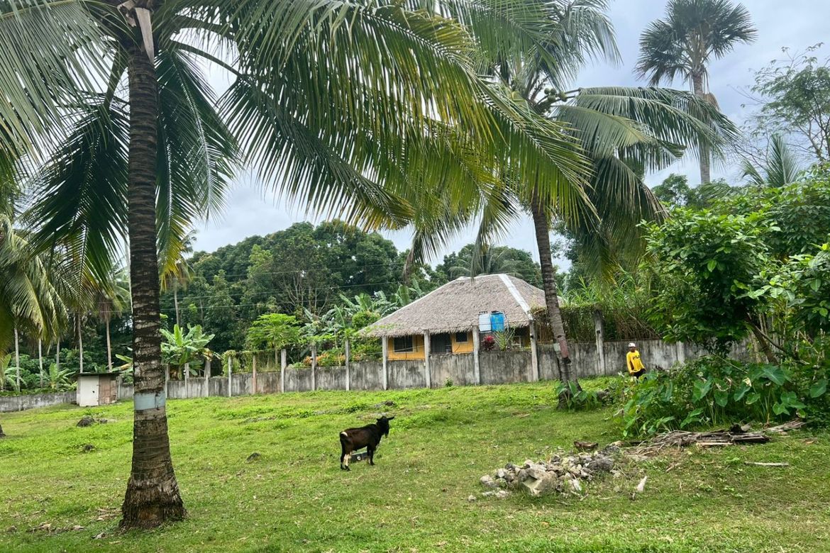 Land for Sale in Tubod, Bacong, Negros Oriental – photo 6