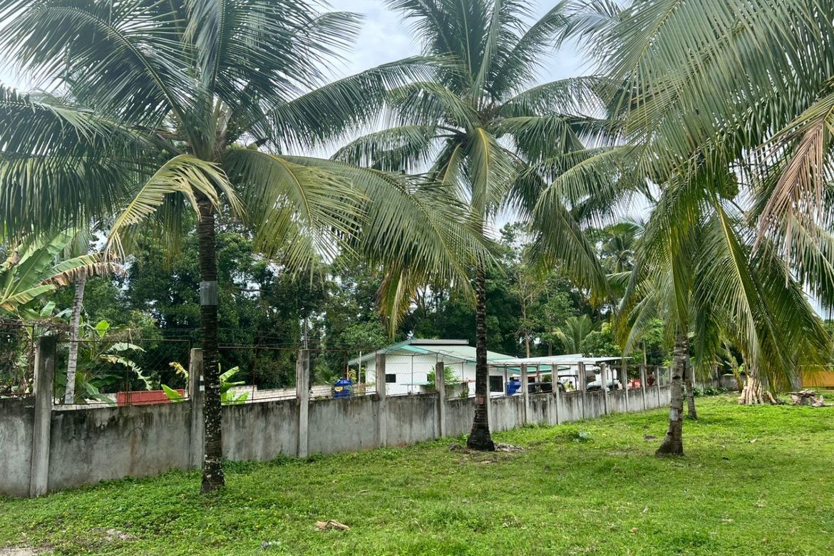 Land for Sale in Tubod, Bacong, Negros Oriental – photo 7