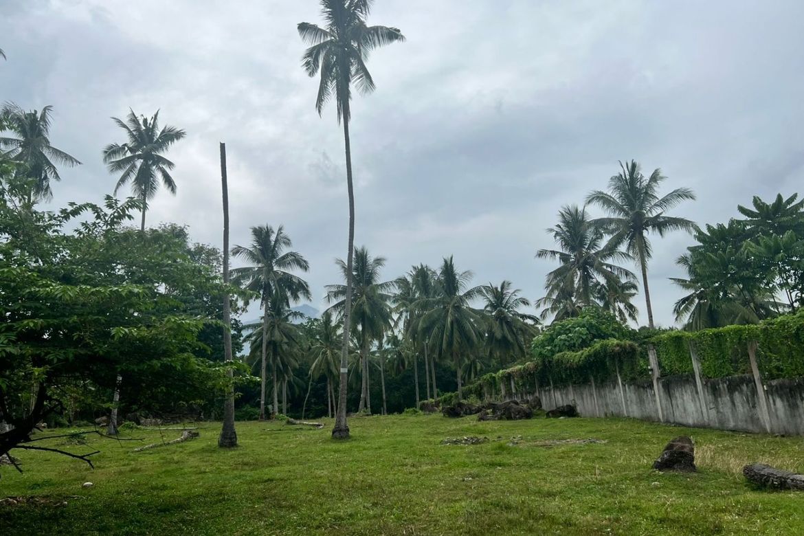 Land for Sale in Tubod, Bacong, Negros Oriental – photo 8