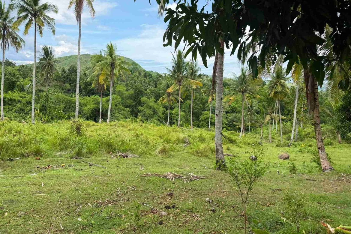 Land for Sale in Tubod-Dugoan, Dumanjug, Cebu