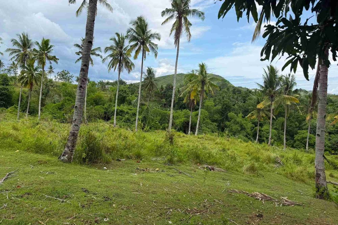 Land for Sale in Tubod-Dugoan, Dumanjug, Cebu – photo 3