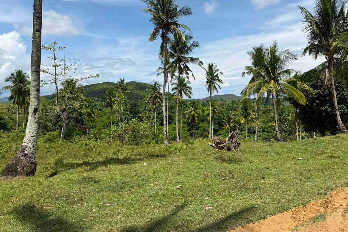 Land for Sale in Tubod-Dugoan, Dumanjug, Cebu – photo 8