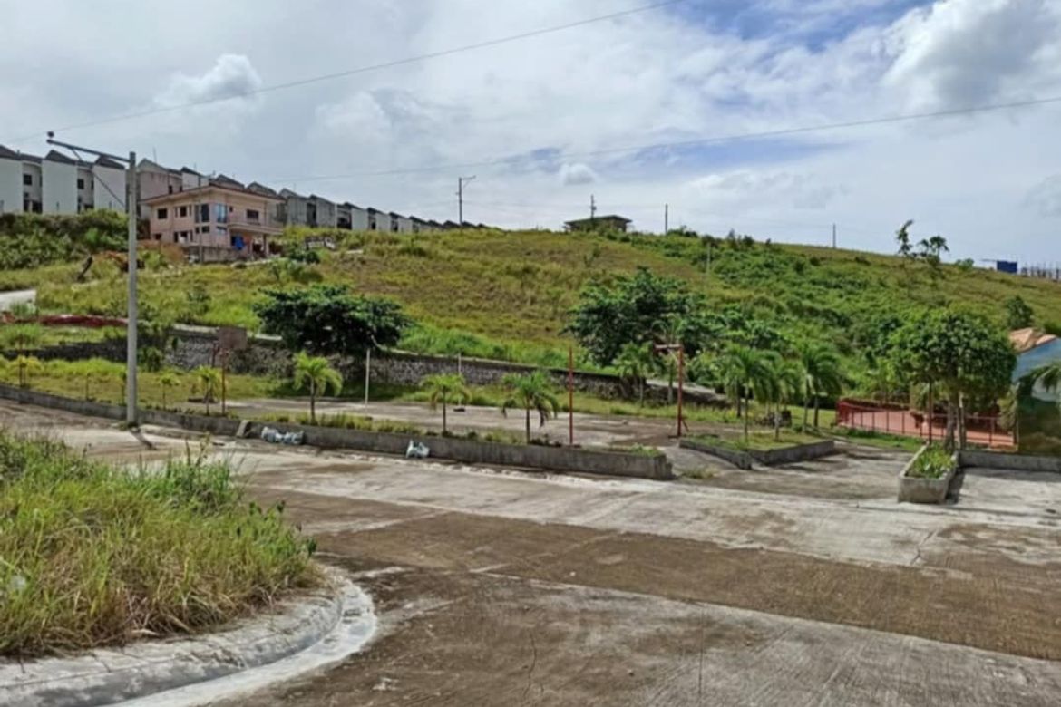 Land for Sale in Tubod, Minglanilla, Cebu