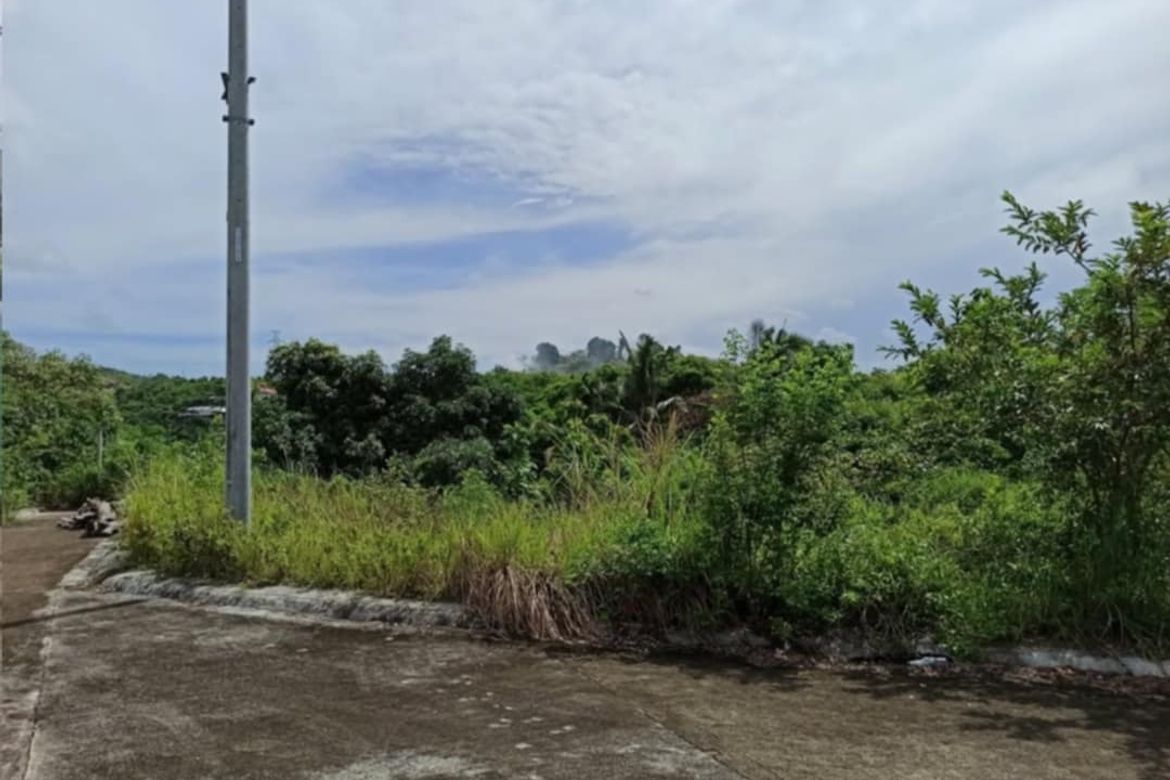 Land for Sale in Tubod, Minglanilla, Cebu – photo 4