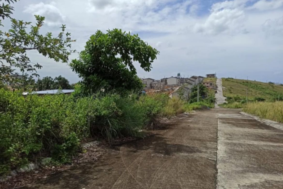 Land for Sale in Tubod, Minglanilla, Cebu – photo 6
