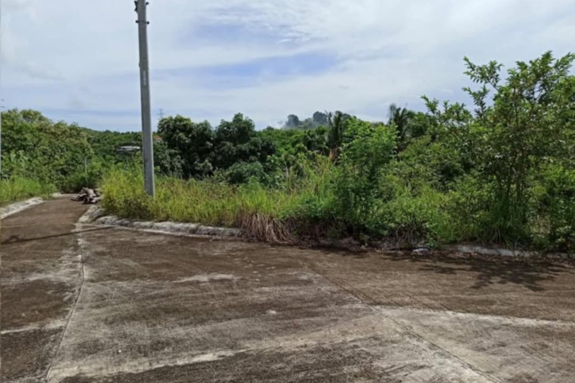 Land for Sale in Tubod, Minglanilla, Cebu – photo 7