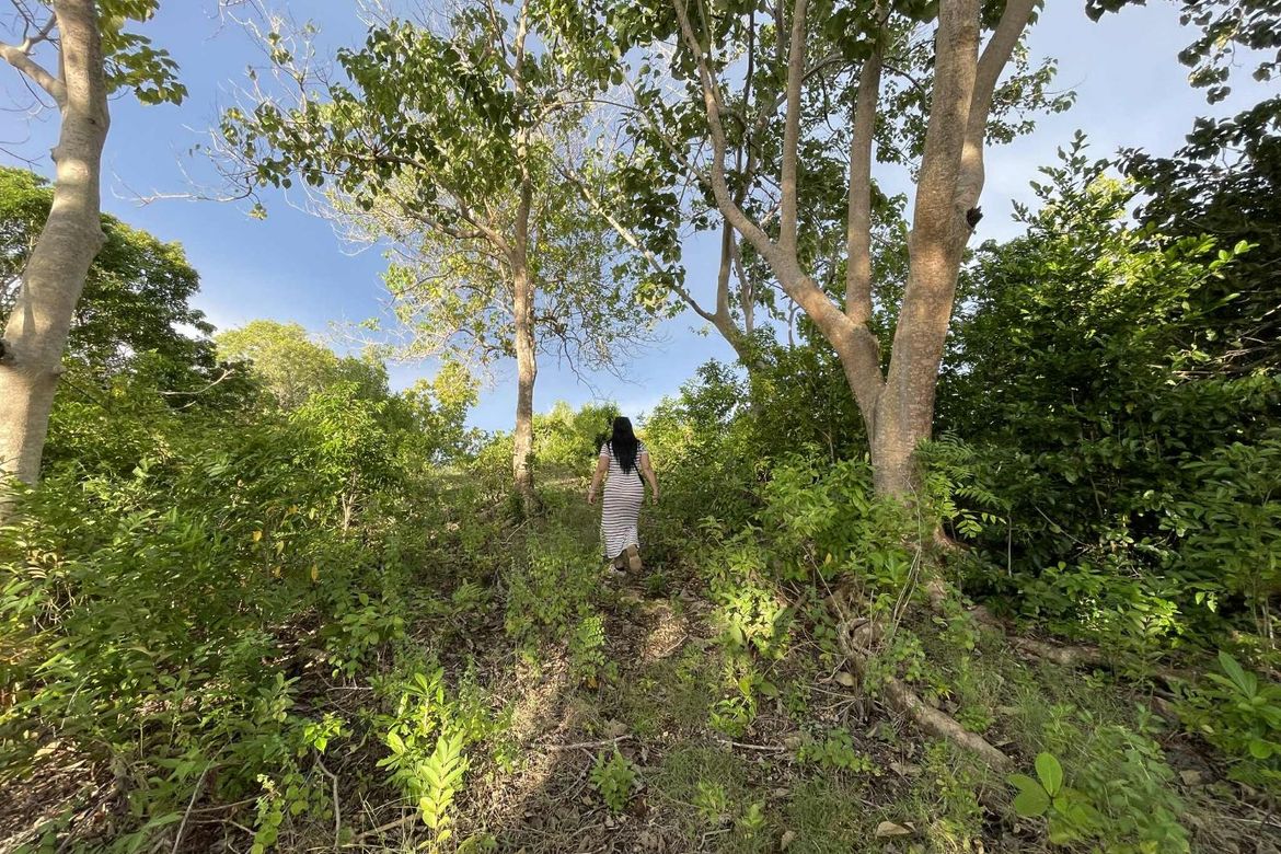 Land for Sale in Tubod, San Juan, Siquijor – photo 4