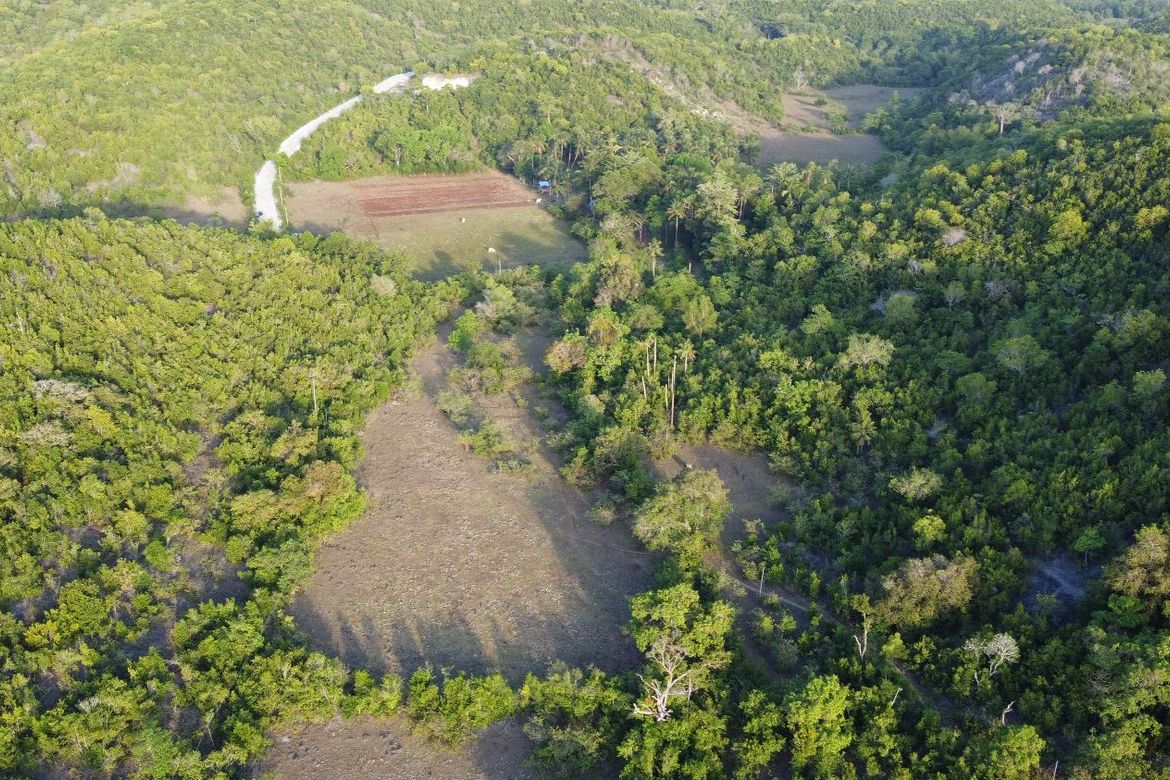 Land for Sale in Tubod, San Juan, Siquijor – photo 5