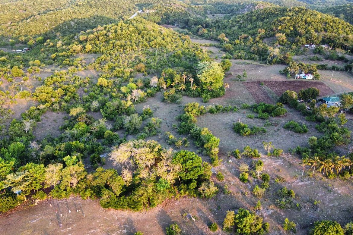 Land for Sale in Tubod, San Juan, Siquijor – photo 7