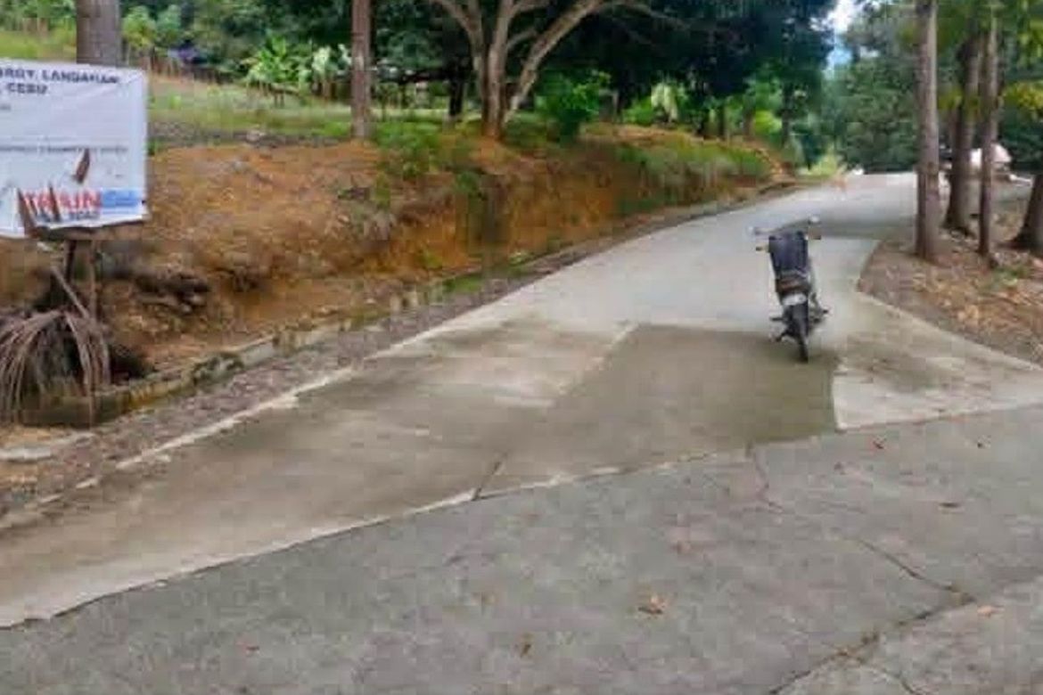 Land for Sale in Tubod, Toledo, Cebu – photo 2