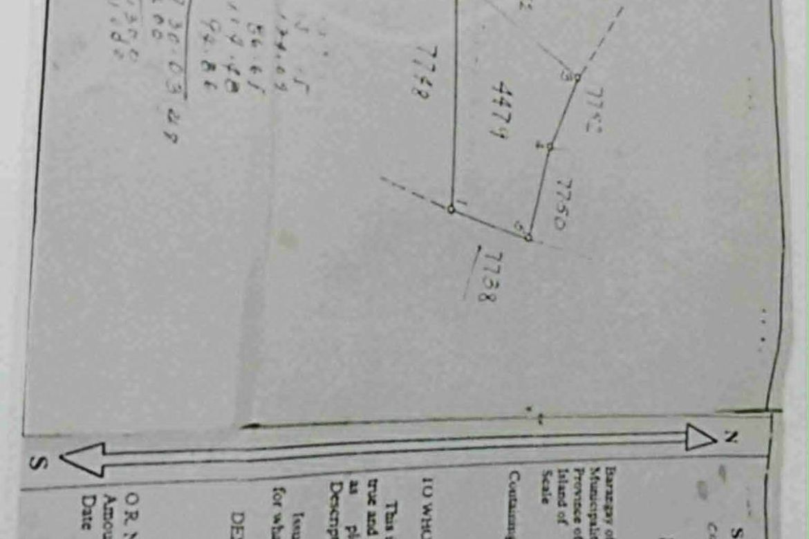 Land for Sale in Tuboran, Ubay, Bohol – photo 4