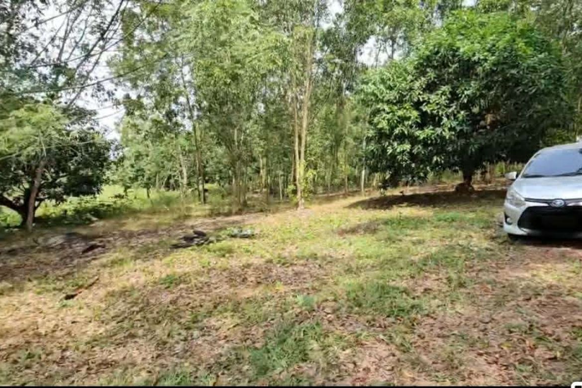Land for Sale in Tuboran, Ubay, Bohol – photo 7