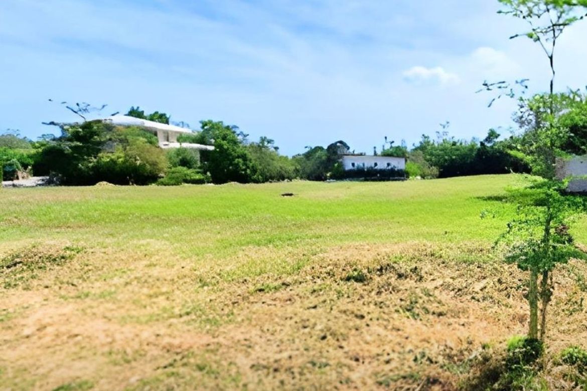 Land for Sale in Tubuan II, Silang, Cavite – photo 2