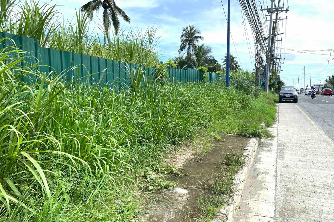 Land for Sale in Tubuan II, Silang, Cavite – photo 3