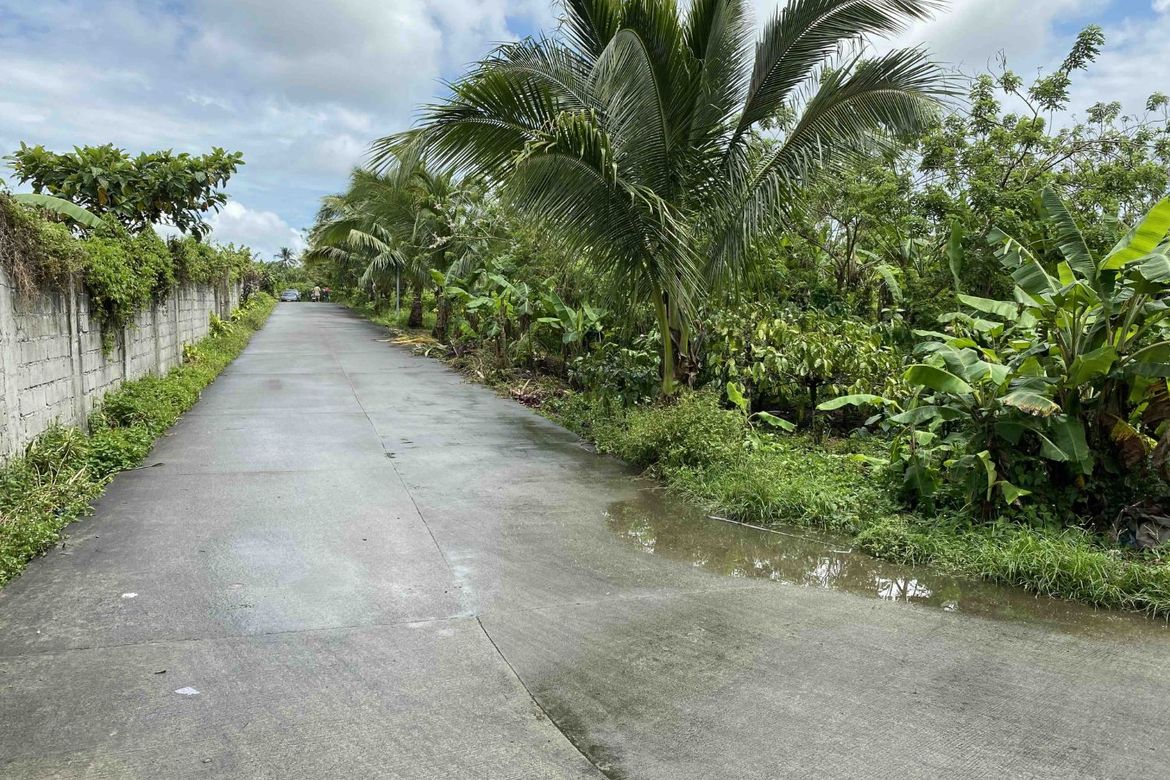 Land for Sale in Tubuan II, Silang, Cavite