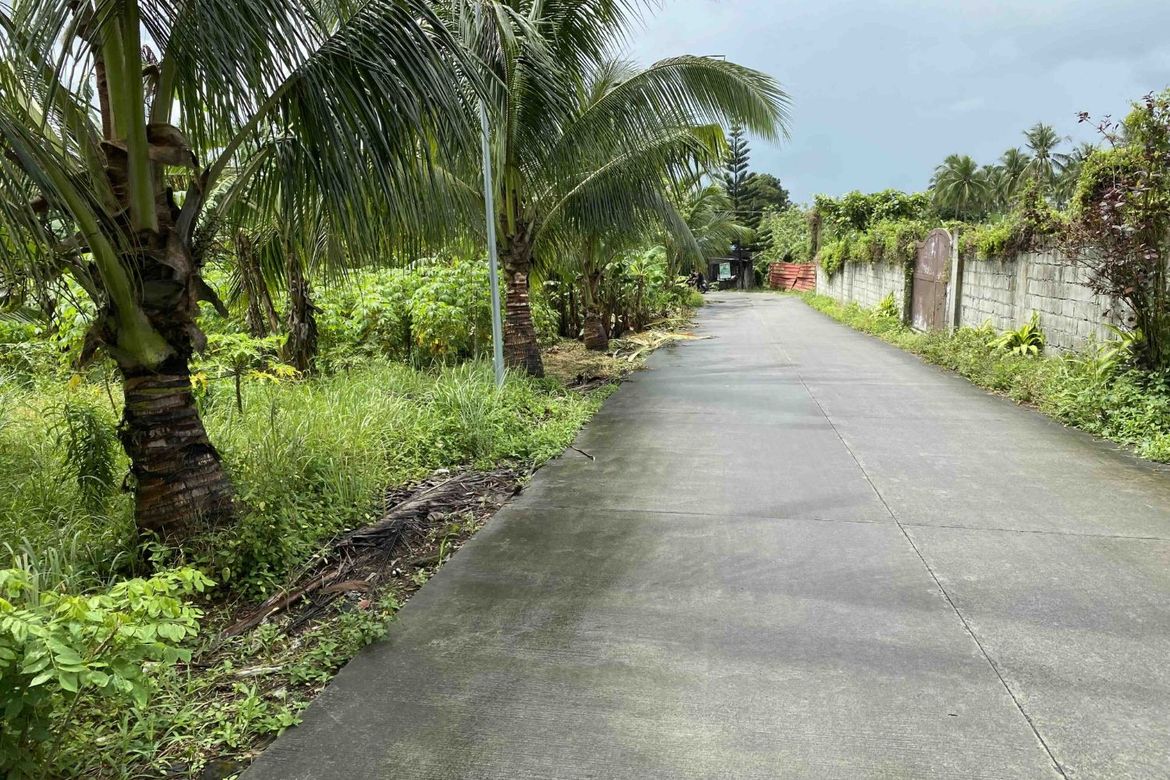 Land for Sale in Tubuan II, Silang, Cavite – photo 2