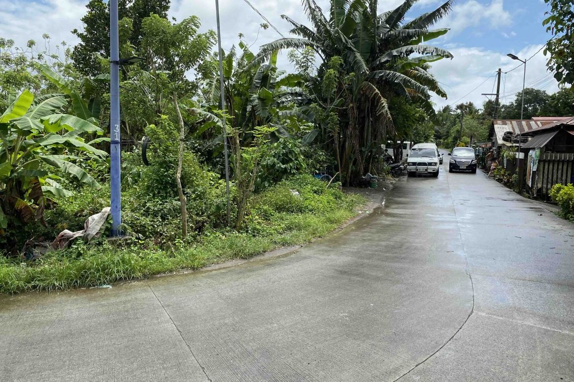 Land for Sale in Tubuan II, Silang, Cavite – photo 3